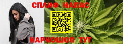 ГАЛЛЮЦИНОГЕННЫЕ ГРИБЫ Будённовск