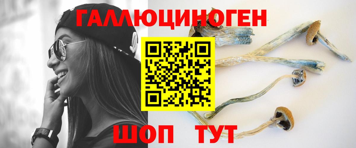 Симферополь  Галлюциногенные грибы Magic Shrooms  Вход с VPN 